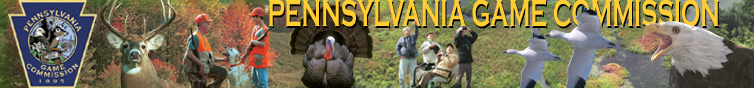 A banner reflecting the mission of the Pennsylvania Game Commission, which manages the state's game, furbearer and wildlife populations. The PGC sets hunting and trapping seasons and regulations that govern the taking of white-tailed deer, black bear, elk, wild turkey, ruffed grouse, ring-necked pheasants and migratory waterfowl, as well as the eastern coyote, bobcat and beaver. It manages reintroduced species, threatened species and endangered species such as the bald eagle, fisher, river otter and peregrine falcon, as well as nongame species that include neotropical migratory birds such as the ruby-throated hummingbird, bobolink, whip-poor-will and rose-breasted grosbeak, as well as year-round resident species such as the American goldfinch, eastern bluebird, great-horned owl and pileated woodpecker. This website provides information about the PGC's State Game Lands system; Middle Creek and Pymatuning Wildlife Management Areas; the Hunter-Trapper Education Program, State Wildlife Grants Program and Deer Management Assistance Program, as well as wildlife news, hunting news, wildlife photographs, nuisance wildlife assistance and conservation history.